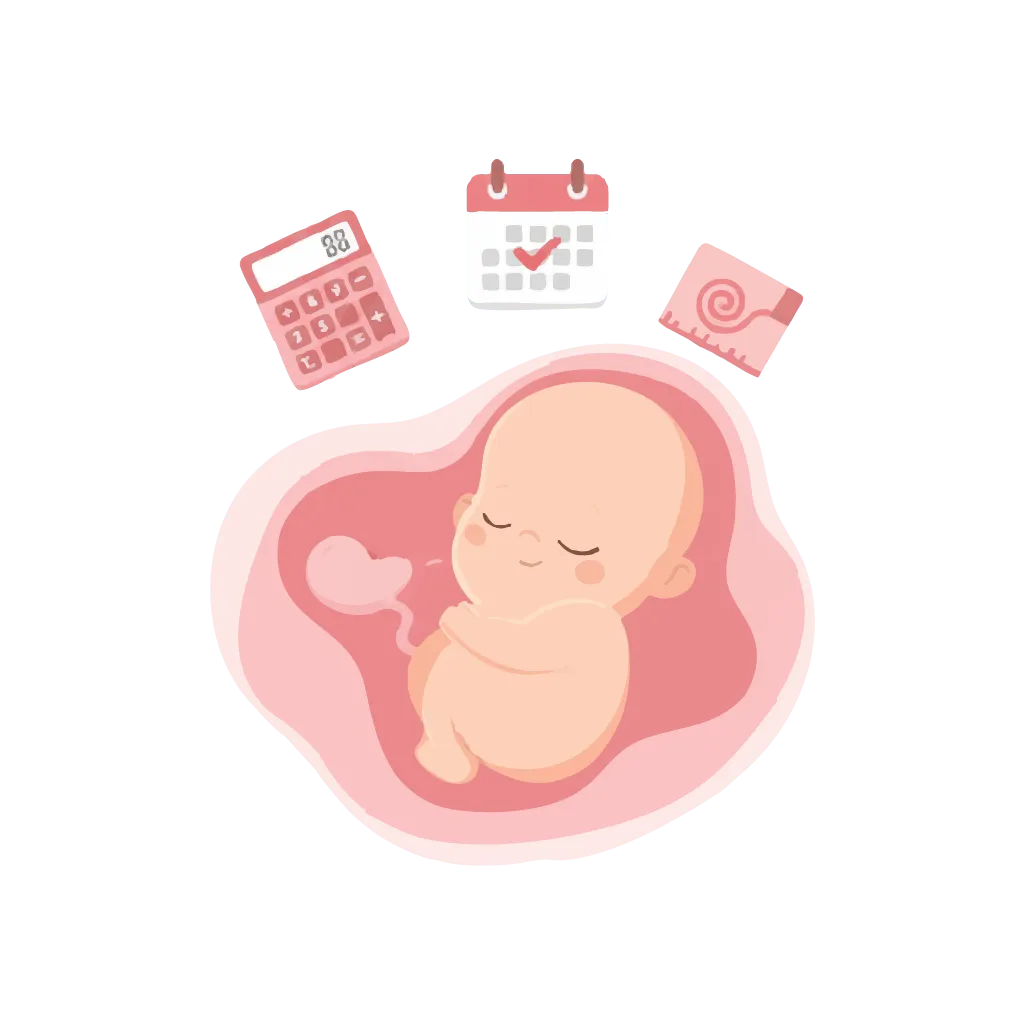 Logo B20 Digital - Calculadora de Crescimento Fetal